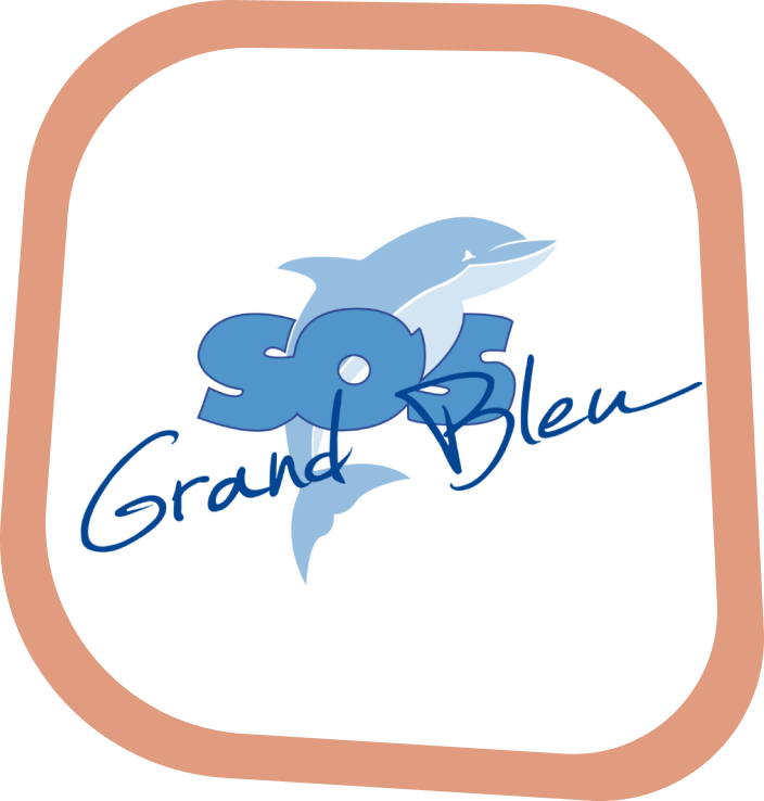 Logo SOS grand blue